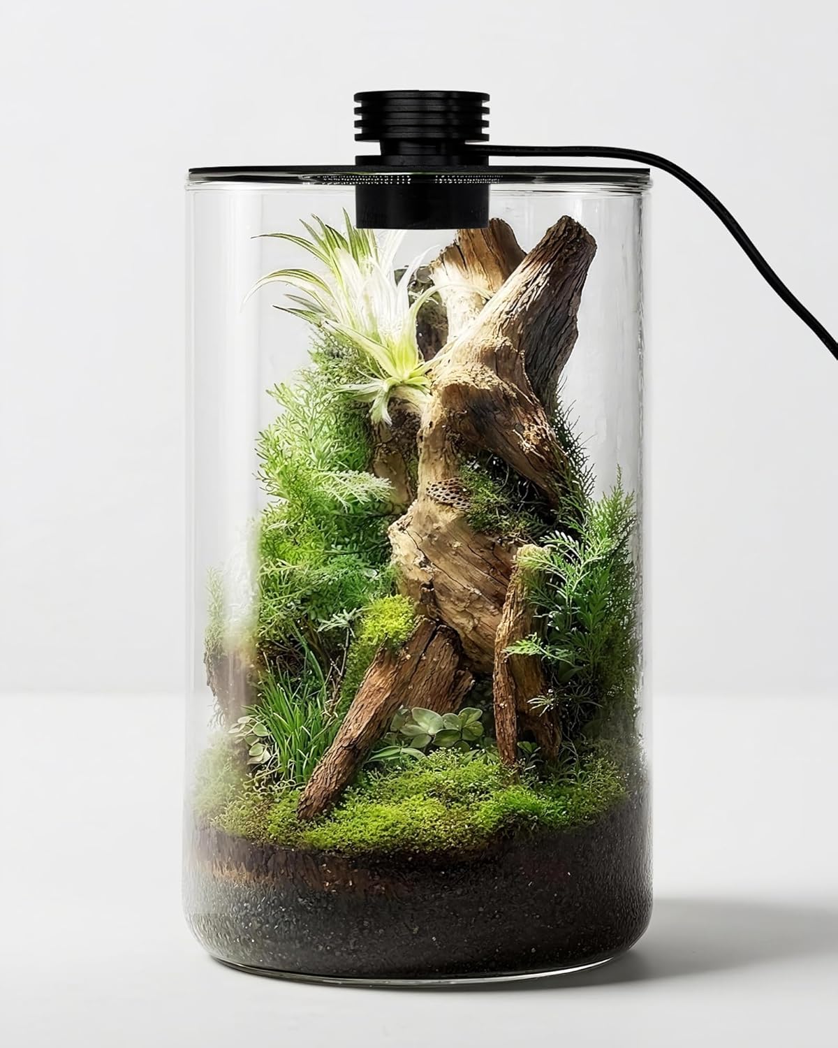 Office Lighting Decor - Szklane terrarium wewnętrzne z lampą do