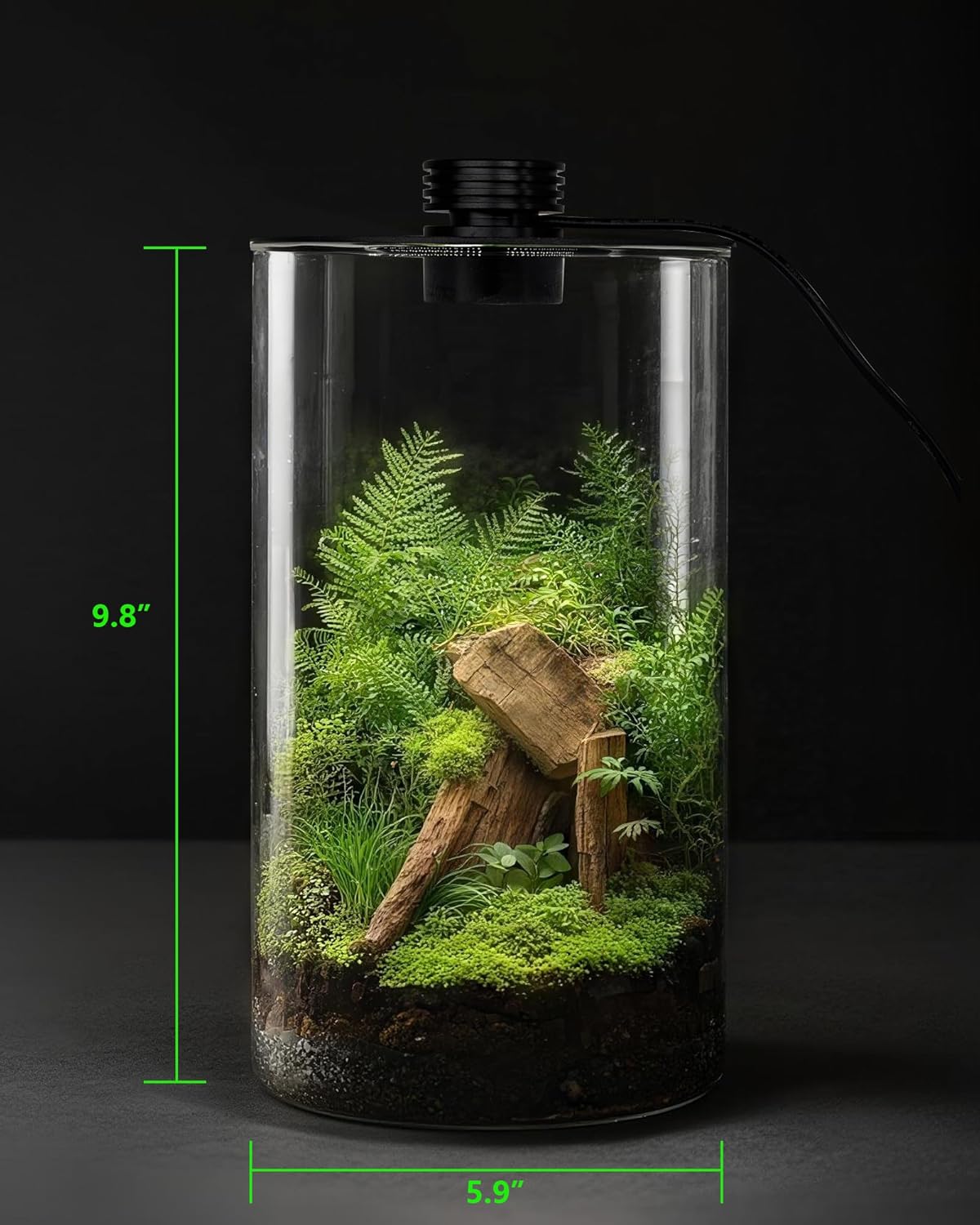 Szklane terrarium wewnętrzne z – Office Lighting Decor recenzja i cena