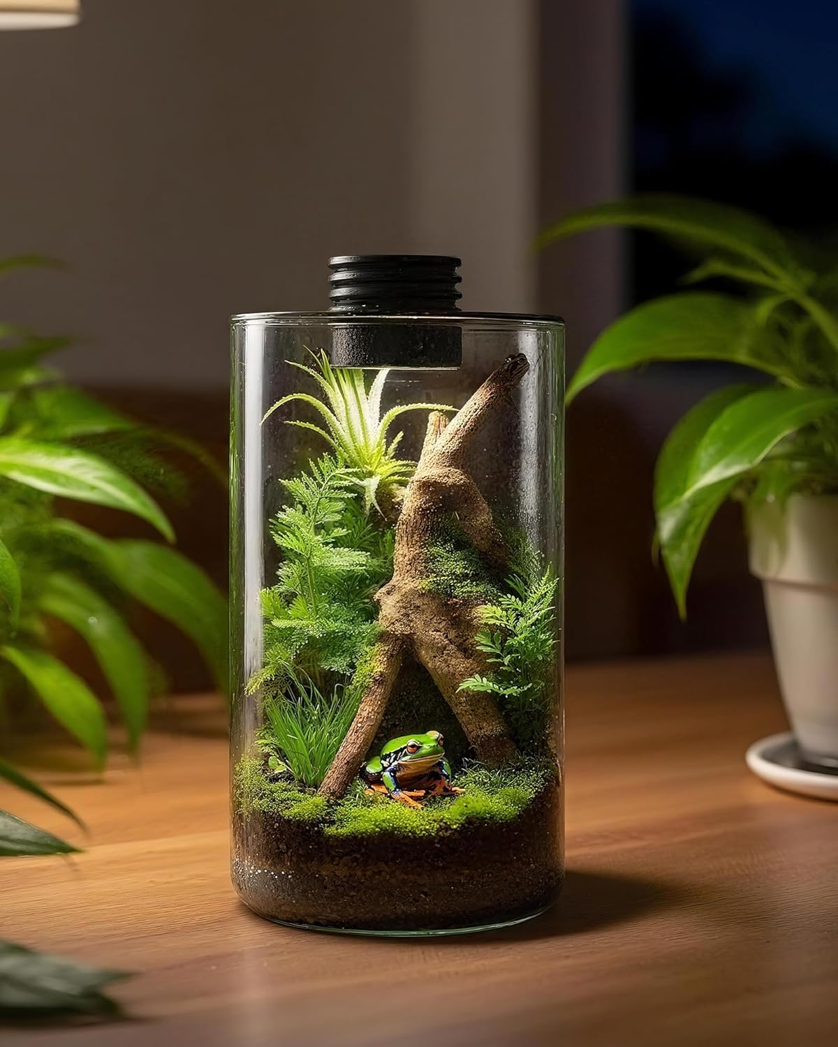 Szklane terrarium wewnętrzne z – Office Lighting Decor recenzja i cena