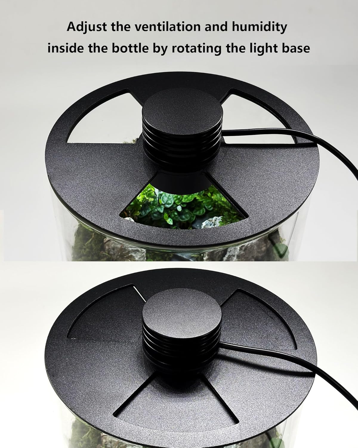 Szklane terrarium wewnętrzne z – Office Lighting Decor recenzja i cena